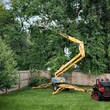 Best Commercial Tree Services  in Golf Manor, OH
