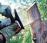 Best Utility Line Clearance  in Golf Manor, OH